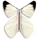 PACK STANDARD - Papillon Blanc MFT 684
