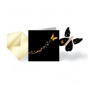 Pack Papillon Magique® Carte noire