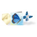 CARTES ANNIVERSAIRE  Carte anniversaire - Papillon bleu 