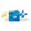 Pack Papillon Magique® "Dauphin"