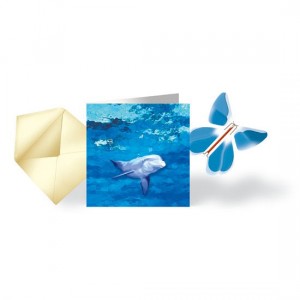 Pack Magic Butterfly® "Delphin"