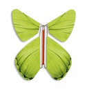 Papillon Magique® "Vert Anis"-MFT781