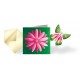 Pack 5 Magic Butterfly® "Pink Flower"