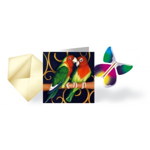 Pack Magic Butterfly® "Inseparables"