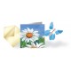 Pack Magic Butterfly® "Marguerite"